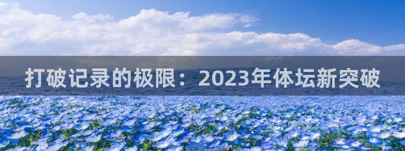 风速体育：打破记录的极限：2023年体坛新突破