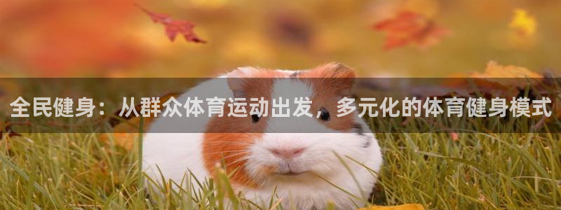 风速体育直播app：全民健身：从群众体育运动出发，多元化的体育健身模式