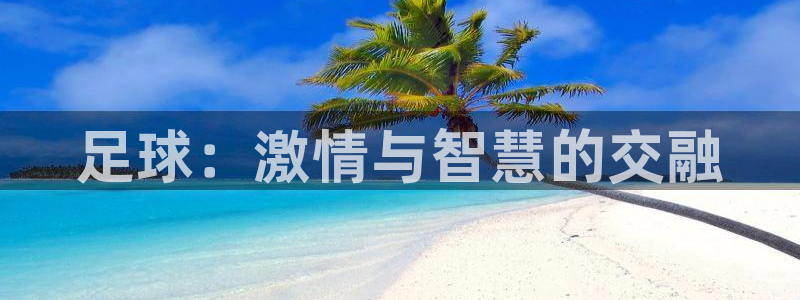 风速体育官网：足球：激情与智慧的交融
