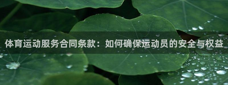 风速体育官网：体育运动服务合同条款：如何确保运动员的安全与权益