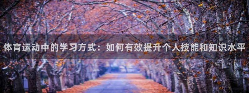 风速体育官网：体育运动中的学习方式：如何有效提升个人技能和知识水平