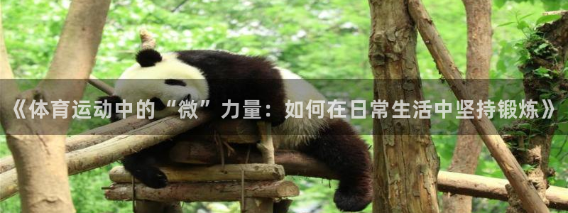 风速体育nba直播：《体育运动中的“微”力量：如何在日常生活中坚持锻炼》