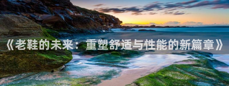 风速体育下载：《老鞋的未来：重塑舒适与性能的新篇章》