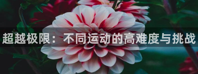 风速体育app下载官网最新版：超越极限：不同运动的高难度与挑战