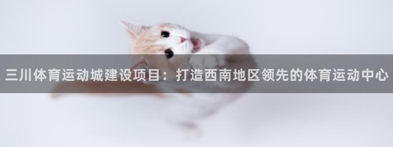 风速体育