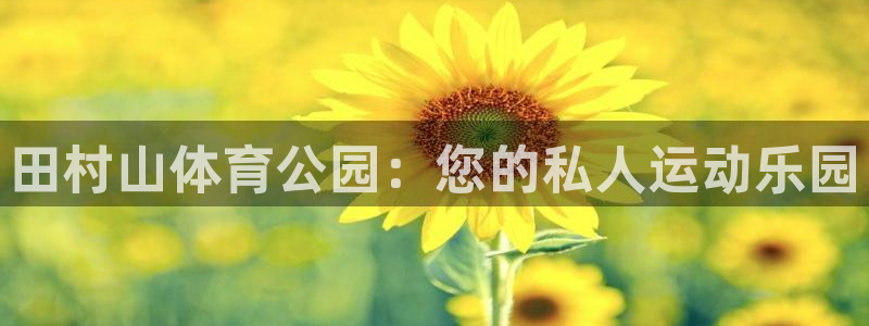 风速体育
